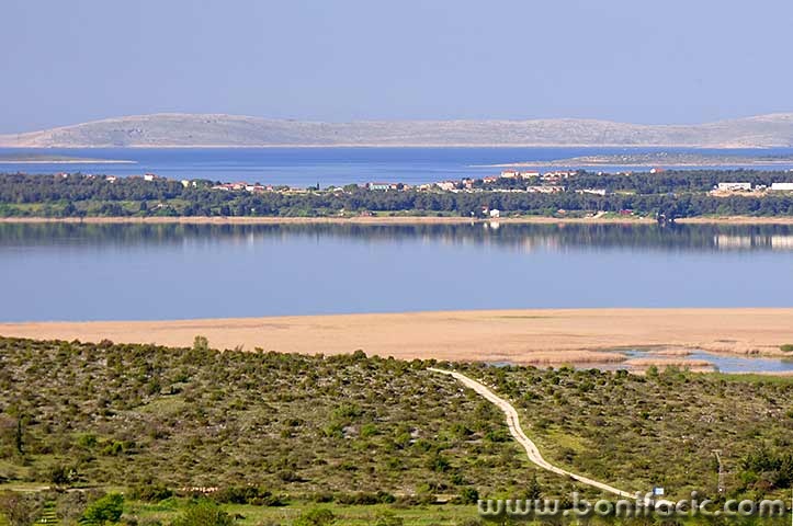 lumixvrana1mal