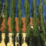 stilllife___Support___Samobor, Croatia.