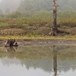 stilllife___Totem___Fuzine, Croatia.