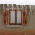 stilllife___Ward___Svica, Croatia.