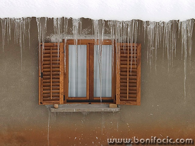 stilllife___Ward___Svica, Croatia.