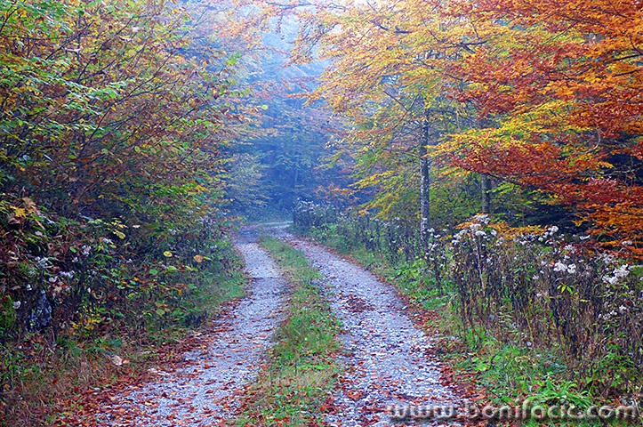 gerovo9mal