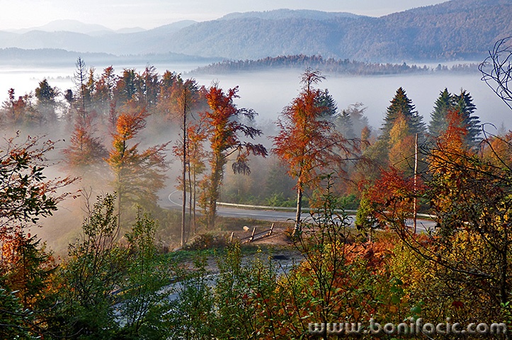 gerovo21mal