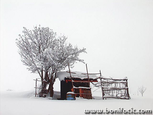 stilllife___Winter___Vrbovsko, Croatia.