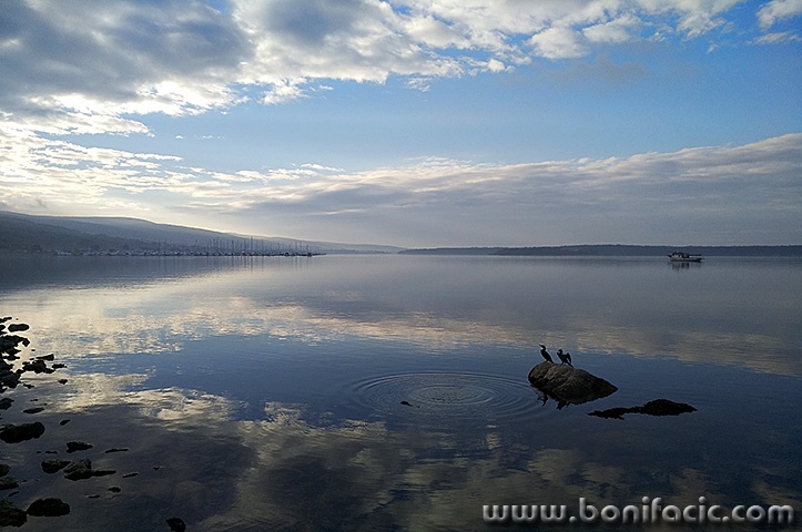 gnjurcimarina1modmal