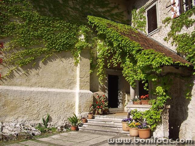 stilllife___Yard___Bled, Slovenia.
