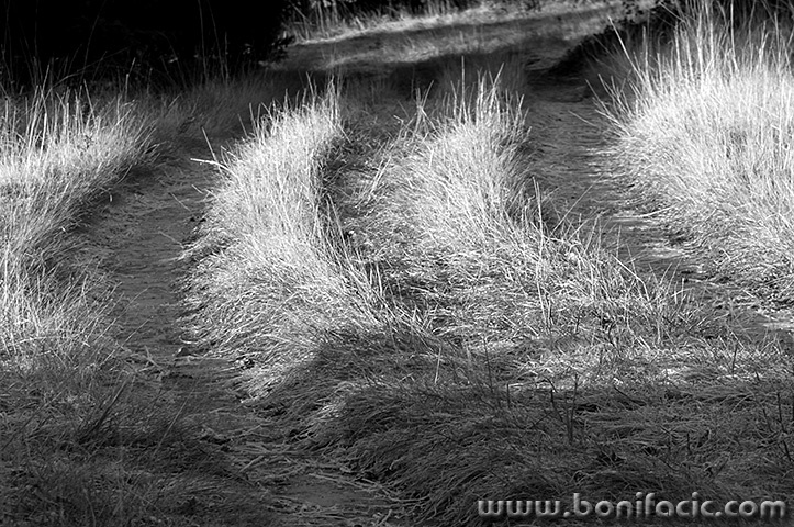 dokulovoput5bwmal