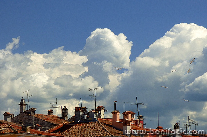 rovinj6mal