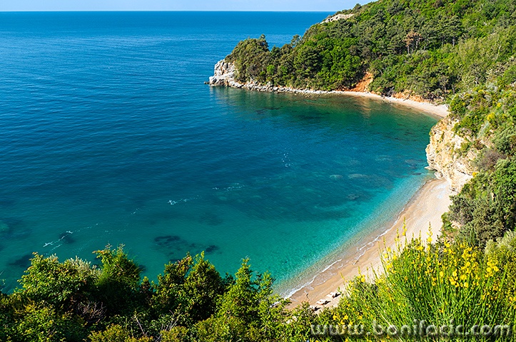 budva15mal
