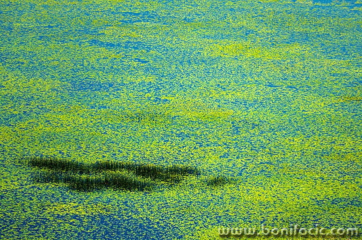 skadar8mal
