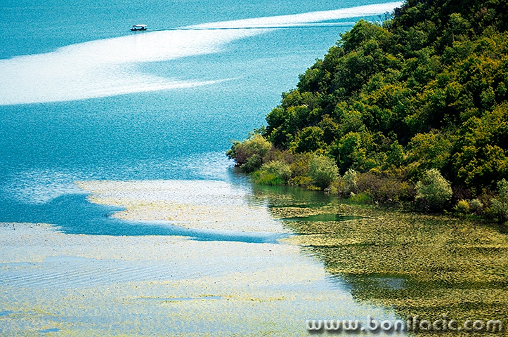 skadar9mal