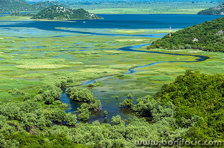 skadar146mal