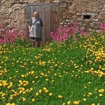 people___Springtime___Modrus, Croatia.