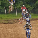 action___Locusts___Jastrebarsko, Croatia.