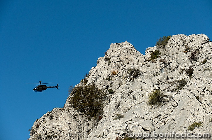 heli6mal