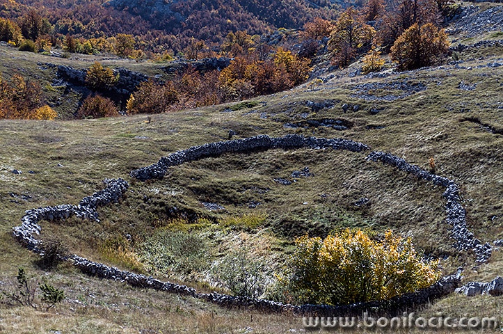 majstorska110mal