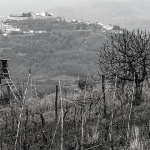 motovunceka2bwmal