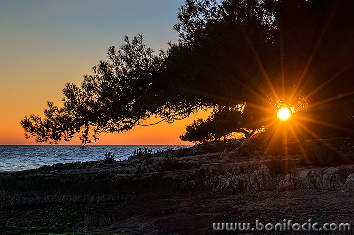 rovinjsunce2mal