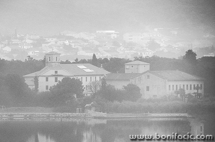 mostirpunatmagla1BWmal