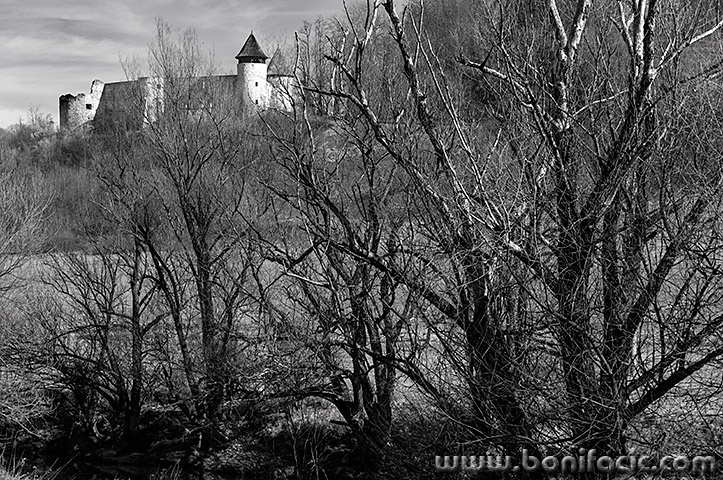 nonigradnd13BWmal