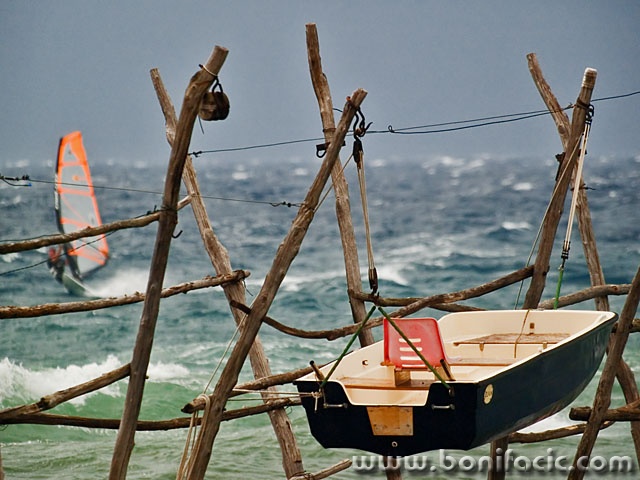 action___Out Of Cage___Savudrija, Croatia.