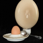 stilllife___Substantial Breakfast___