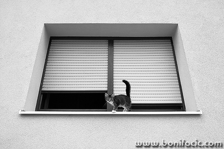 zabok3BWmal