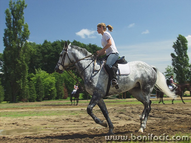action___Training___Djakovo, Croatia.
