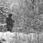 dedesnig2bwmal