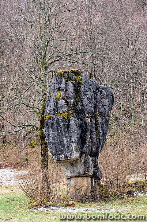 bjelolasicastecak1mal