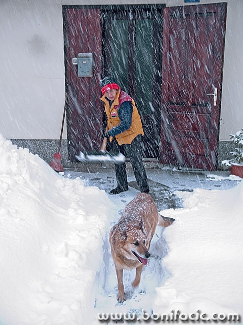 action___Weed Out___Crni Lug, Croatia.