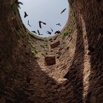 kulagolubovigrimaldi1mal