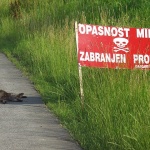 animals___Adventure___Vukovar, Croatia.