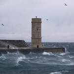 animals___Affront The Wind___Senj, Croatia.