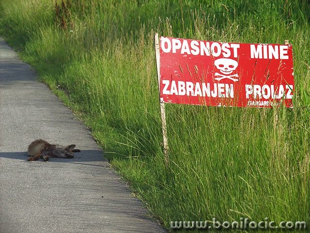 animals___Adventure___Vukovar, Croatia.