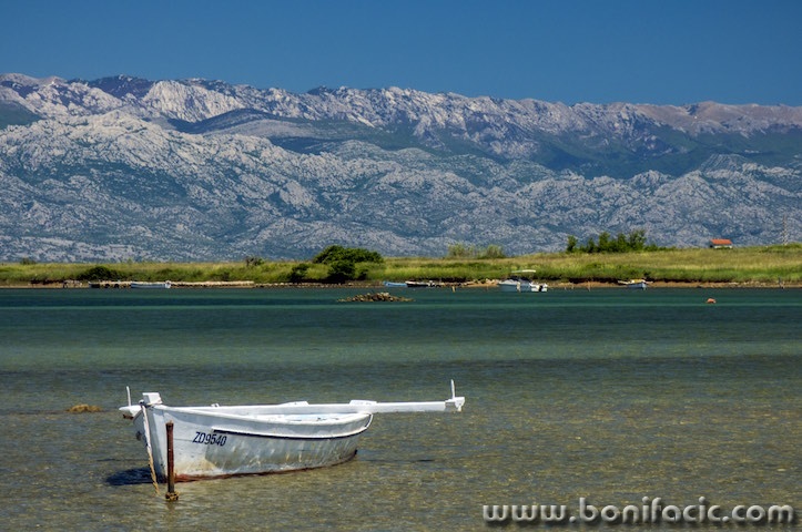vir18mal
