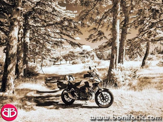 hobrovacir2sepiaaddmal