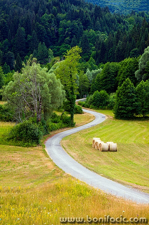 gomirjeljeto21okomitmal