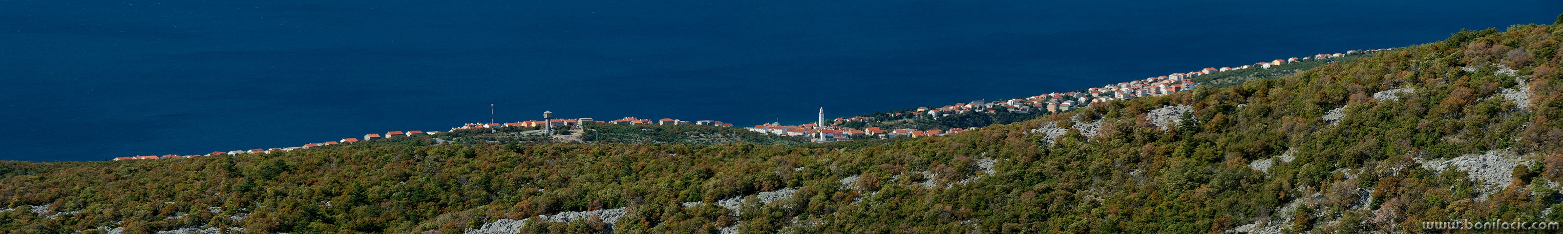 panonoviv1mal