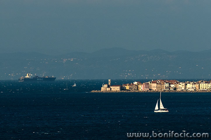 piran1mal