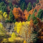 mrzlavodicajesen5mal