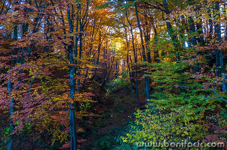 mrzlavodicajesen13mal