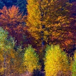 mrzlavodicajesen9mal