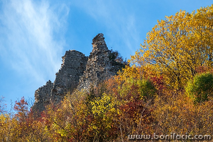 gradina2124mal