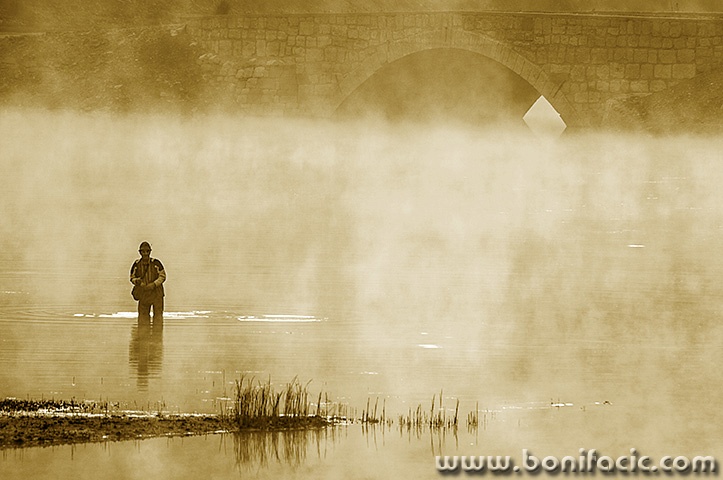 ribarmrzla11bwmalgolden