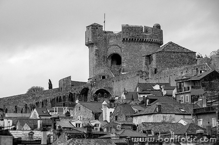 dugrad88BWmal