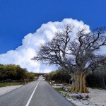 misusajnicaoblak1mal