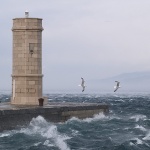 animals___Test Pilots___Senj, Croatia.