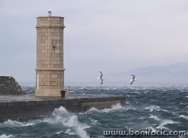 animals___Test Pilots___Senj, Croatia.