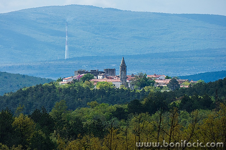 boljun2mal